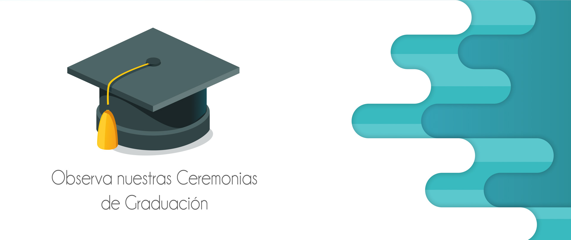 Slides (2)